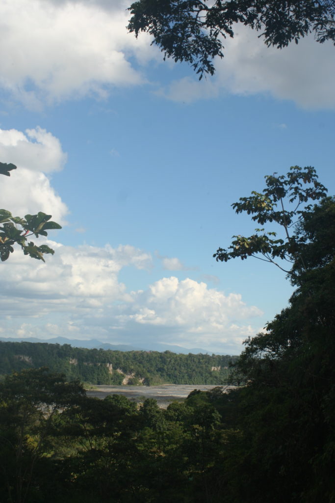 The Amazon, Ecuador