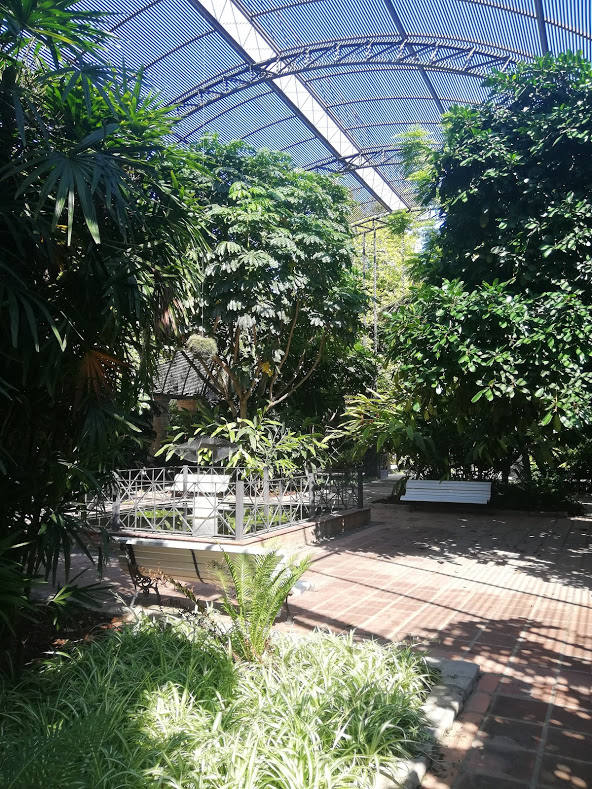 Impressions of the Botanical garden of Valencia.