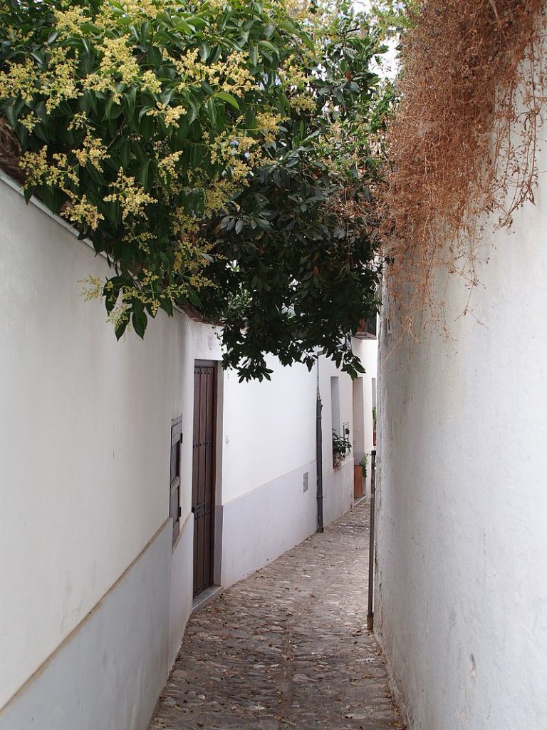 One of the many narrow streets of the Albayzín neighbourhood, Granada