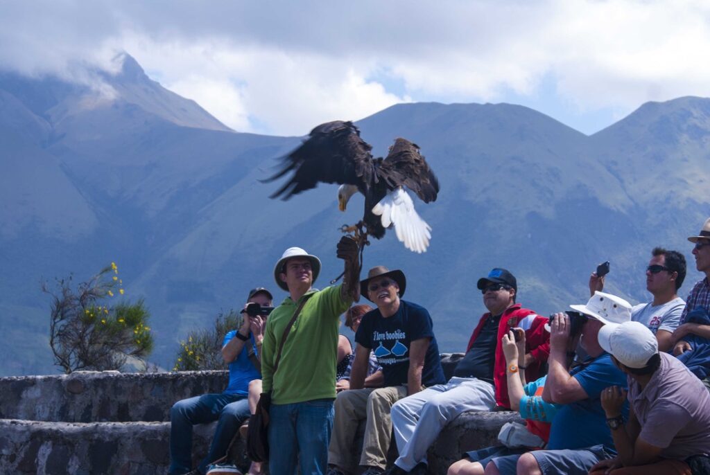 Condor Park, Otavalo, Ecuador