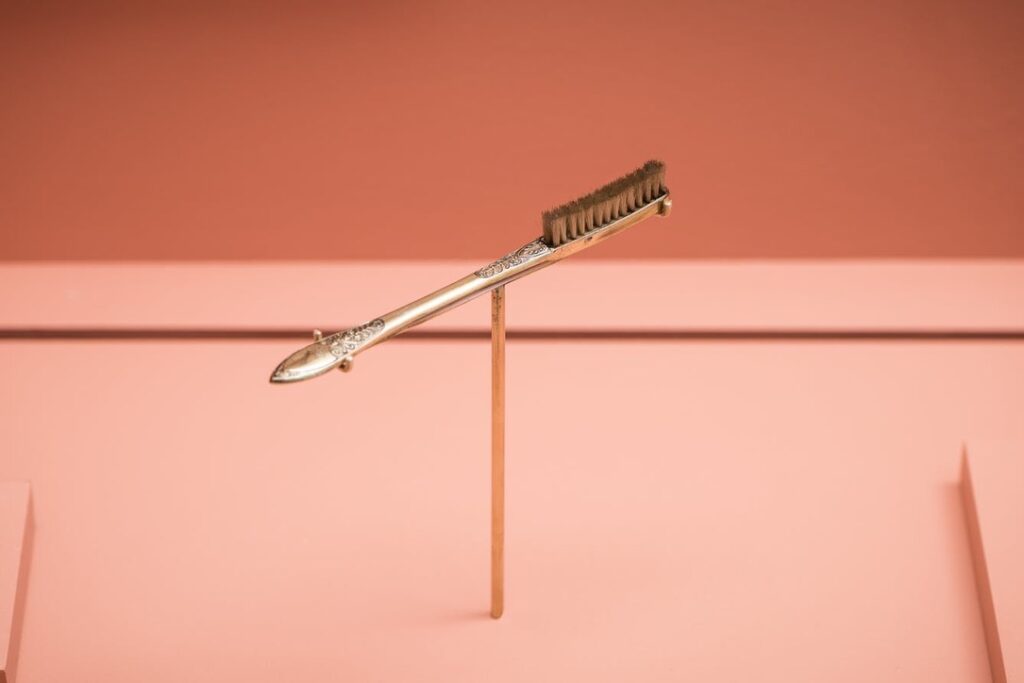 Toothbrush that belonged to Napoleon Bonaparte. Item shown at the “Teeth” exhibition in London 2018. 