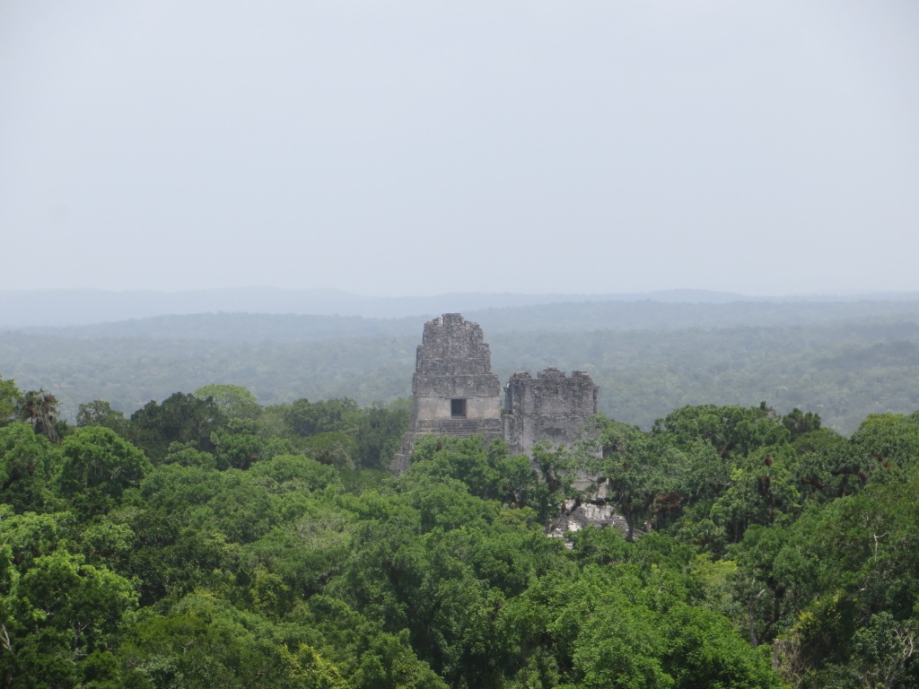 The view from the top of Tempel IV, Tikal