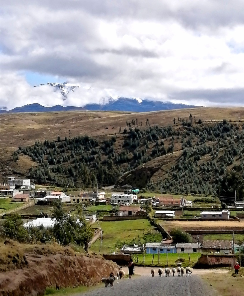 View of Cangahua, with in the background Mt. Cayambe.