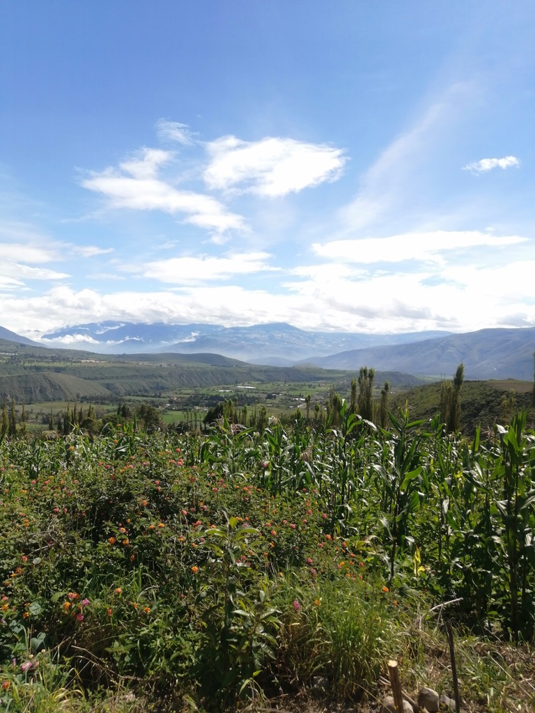 Panorama-views you can expect when you visit Chachimbiro