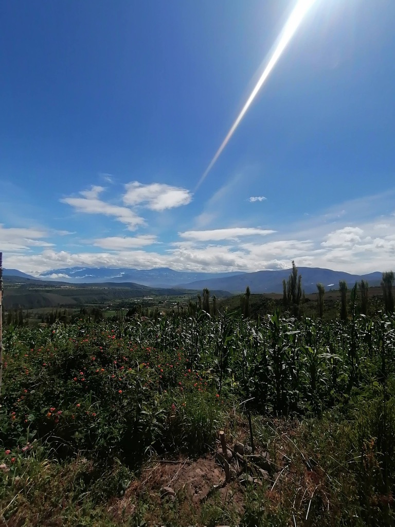 Panorama-views you can expect when you visit Chachimbiro