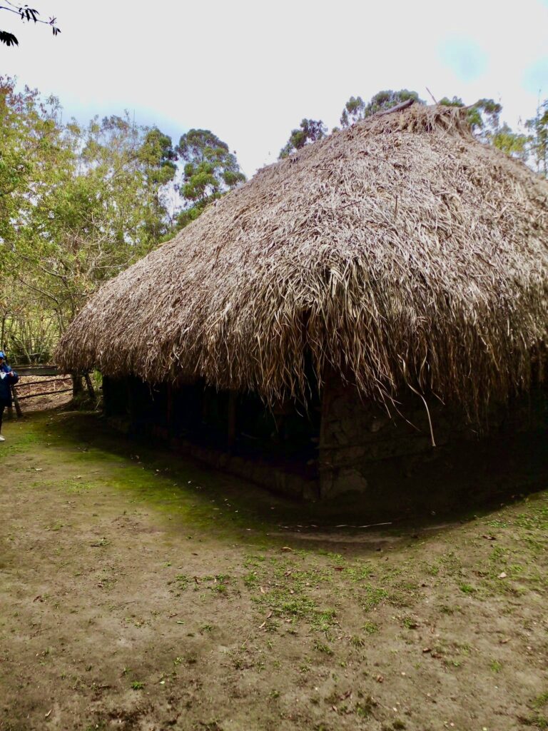 Visit to a typical indigenous house or choza of the Andean highlands, Cochasqui, Ecuador.
