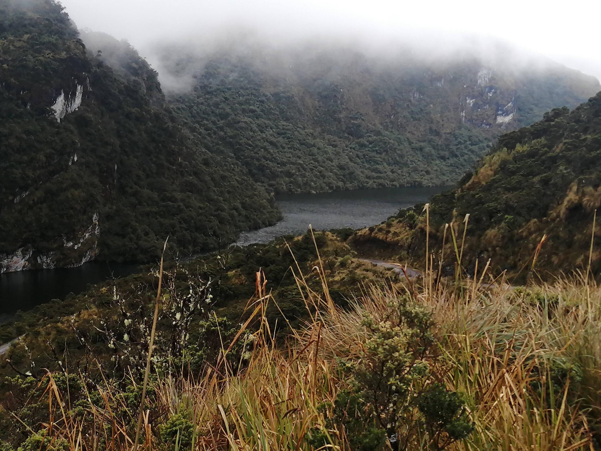 Impressions of the area between Oyavachi and Papallacta, Ecuador. Part of the Coca Cayambe national park. 