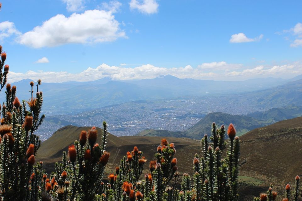 View from the flanks of Mt. Pichincha, Quito, Ecuador.