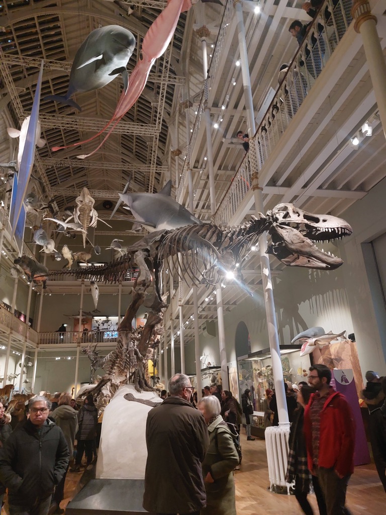 Impressions of the National Museum of Scotland, Edinburgh. Grand Gallery with a skeleton of a dinosaur & many visitors. 