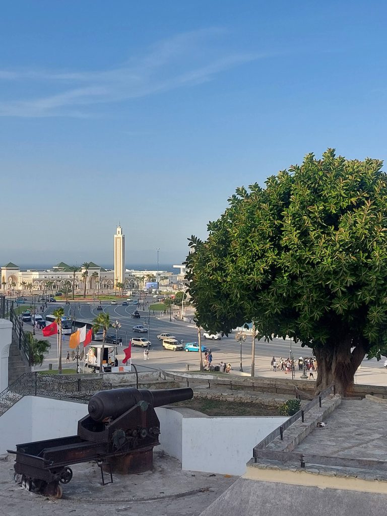 View from the outer wall of the medina of the port & the Grand Mosque of Tangier.