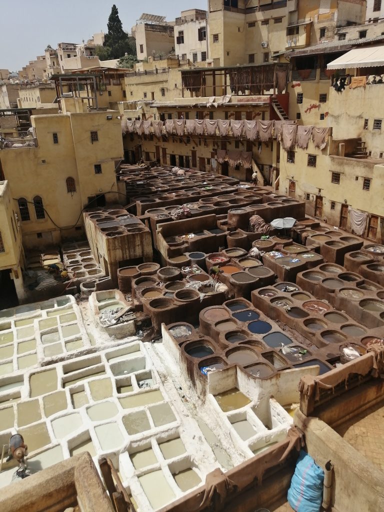 A visit to the world famous tannery of Fez, Morocco.