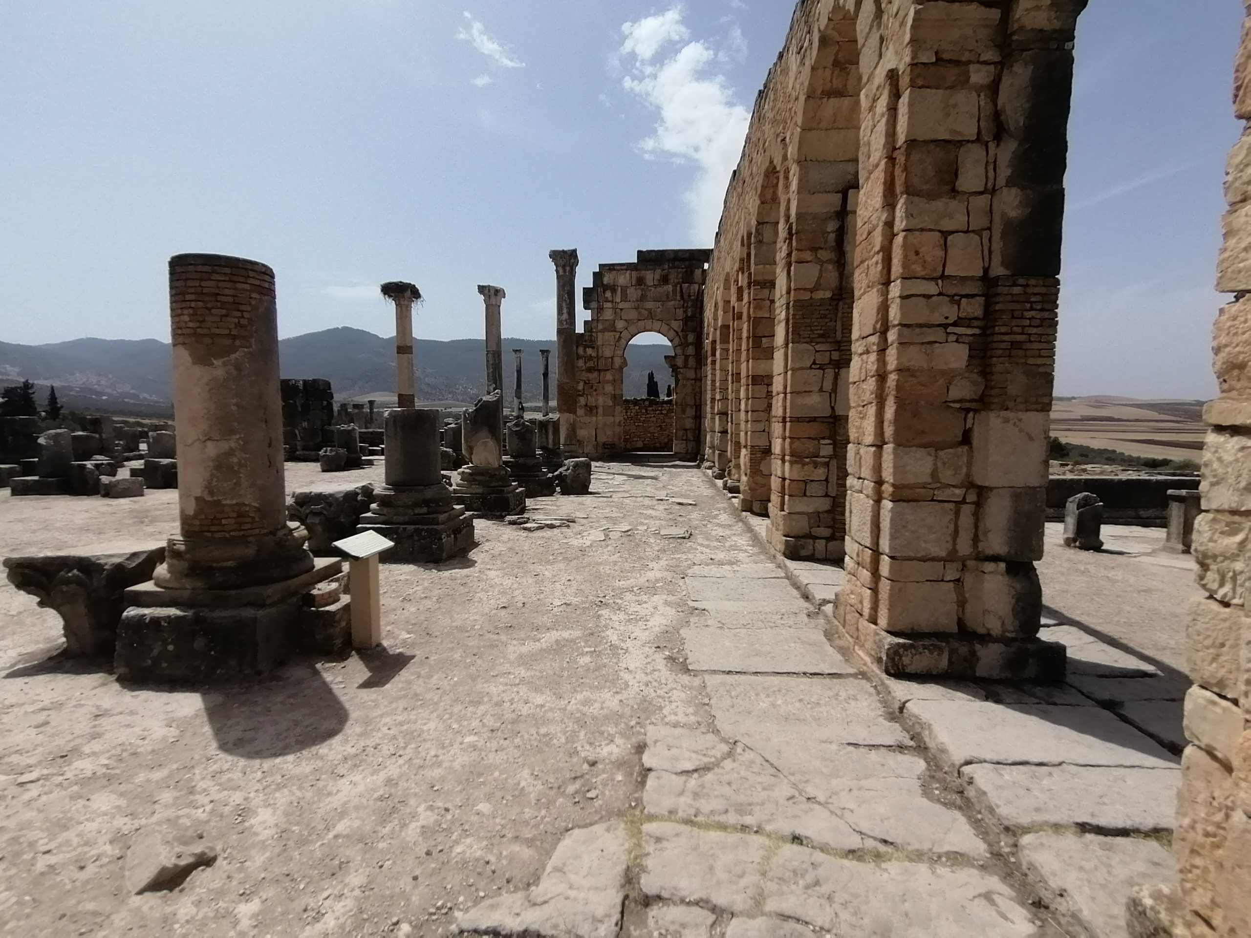 Impression of our visit to the Roman remains of the city of Volubilis in Morocco.