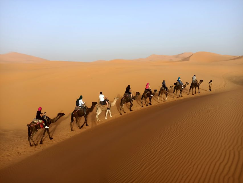 Tourist on camels visiting the Moroccan desert.