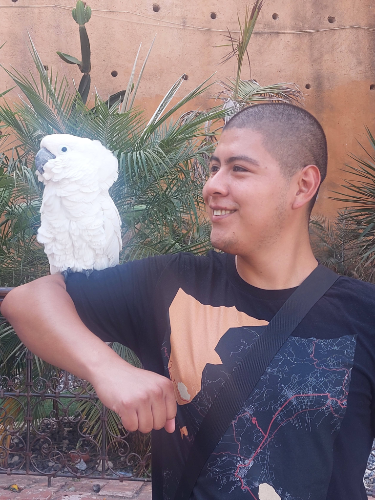Guy with a cockatoo on his arm during a visit to Chefchaouen, Morocco.