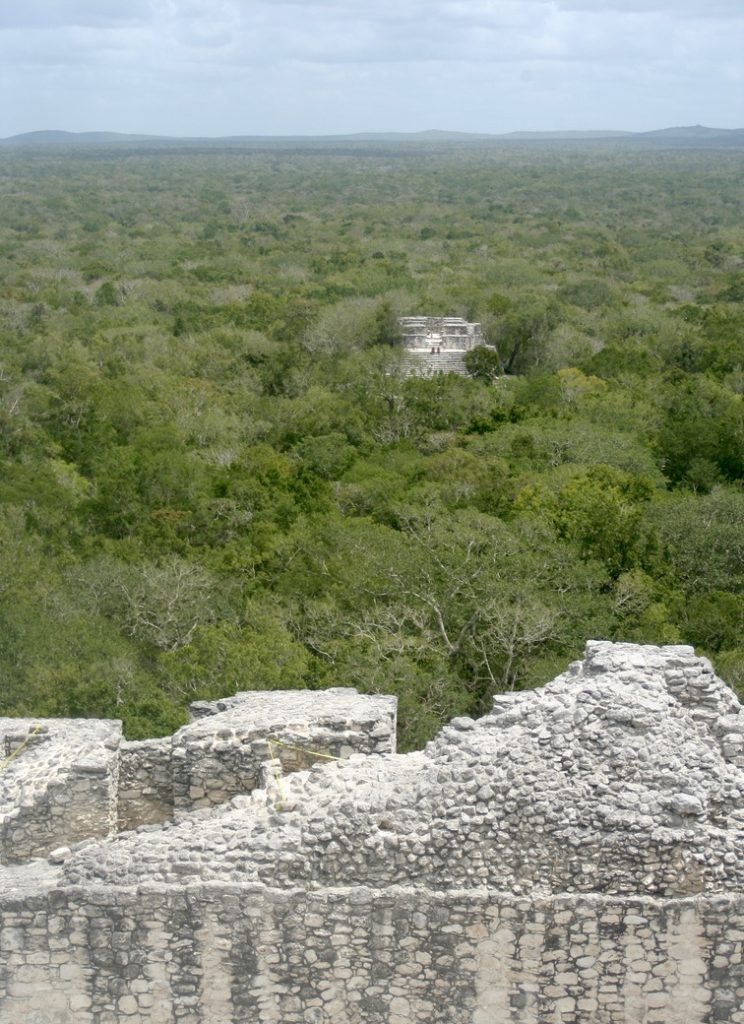 Picture from the top of Calakmul's highest pyramids, Structure II, during my visit to Calakmul. The Maya site is surrounded by an enormous green jungle. 