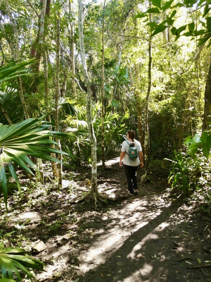 A visit to the Sian Ka'an Biosphere Reserve near Muyil. My wife Wendy walking through the reserve.