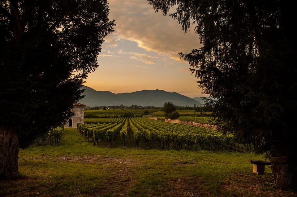 A visit to the Franciacorta winery near Bergamo.