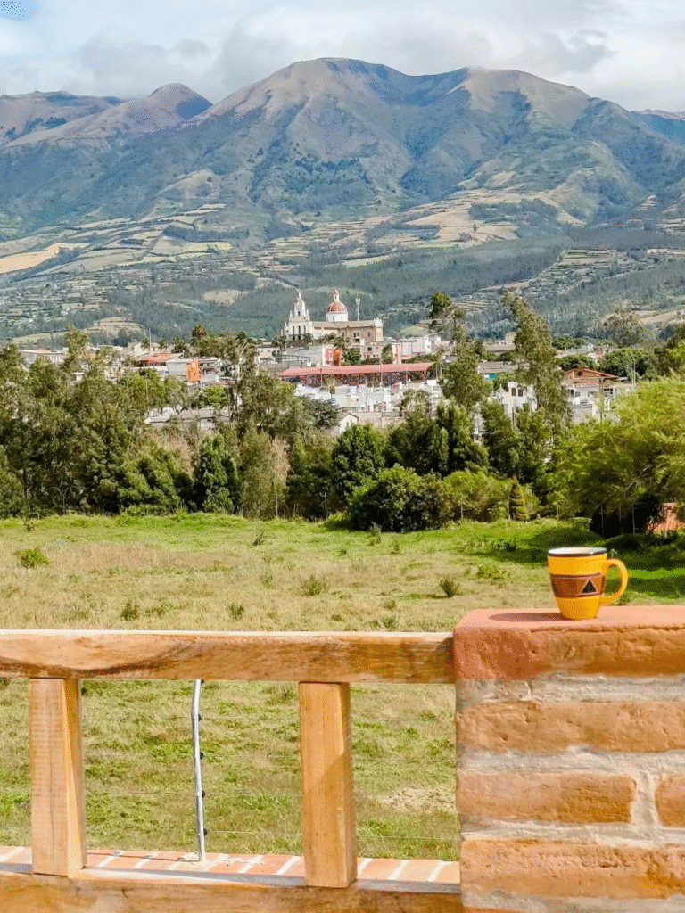 Rooftop view Casa Santa Ana airbnb during the day