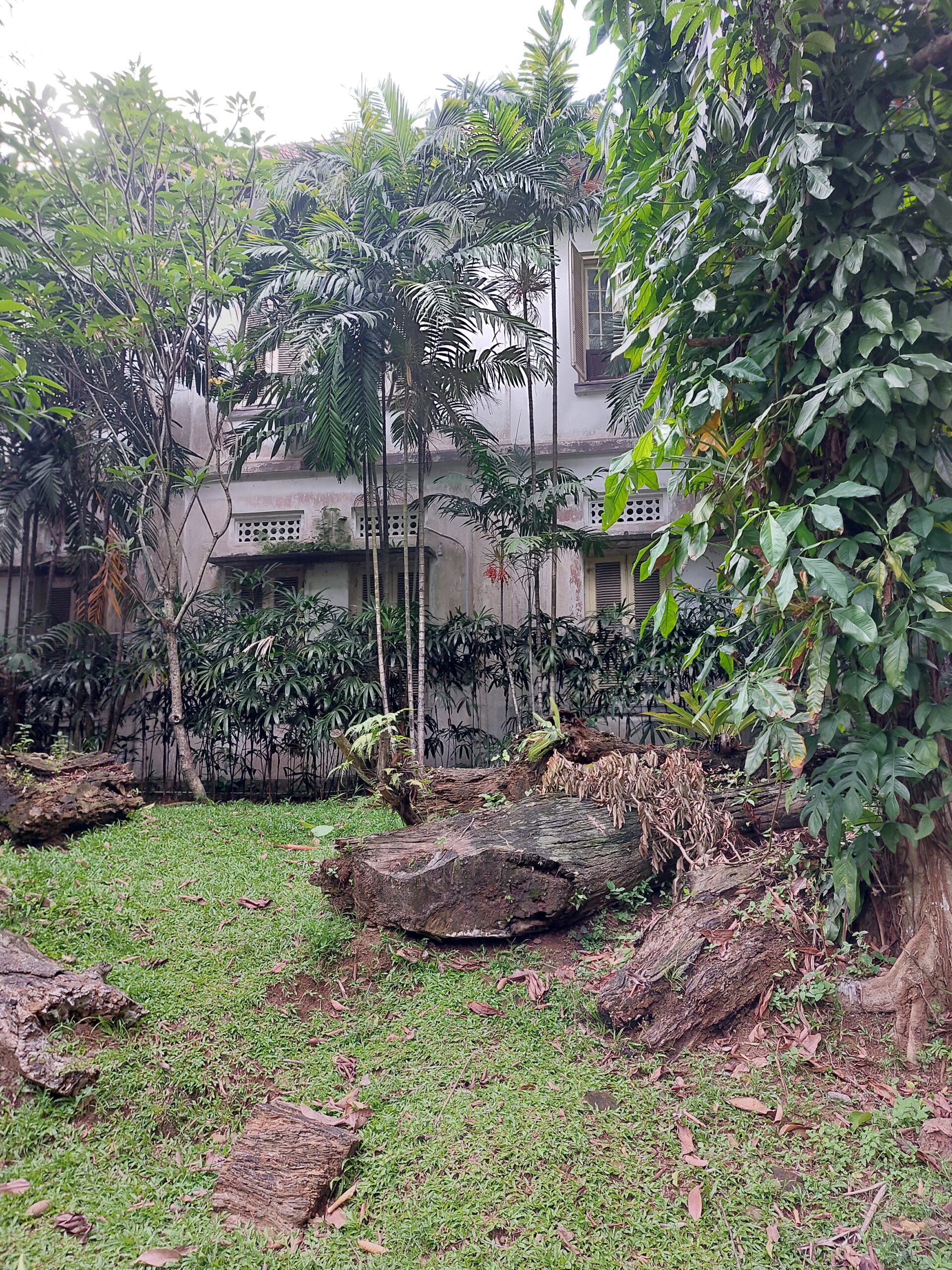 The best Tips for a visit to beautiful Bogor