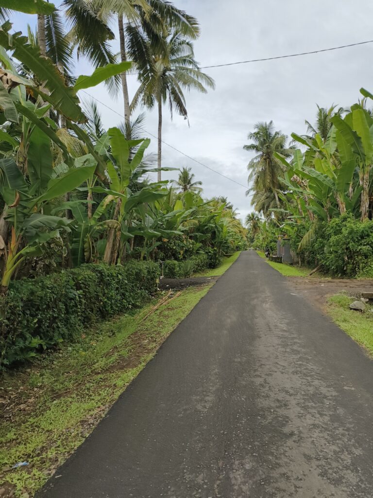 One of the streets or paths which lead through Pekutatan village. 