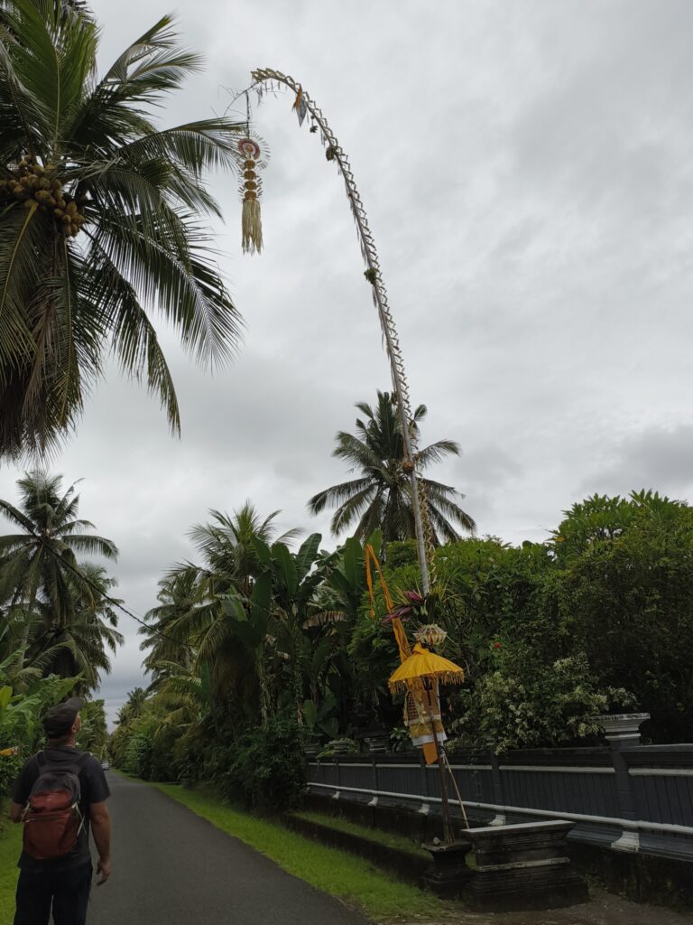 Putting up decorations for the Galangan Hindu festivities in Pekutatan, West Bali.
