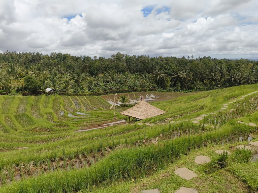 The view from the Puri Dajuma Terrace Resort in Tabanan, Pupuan, West Bali.