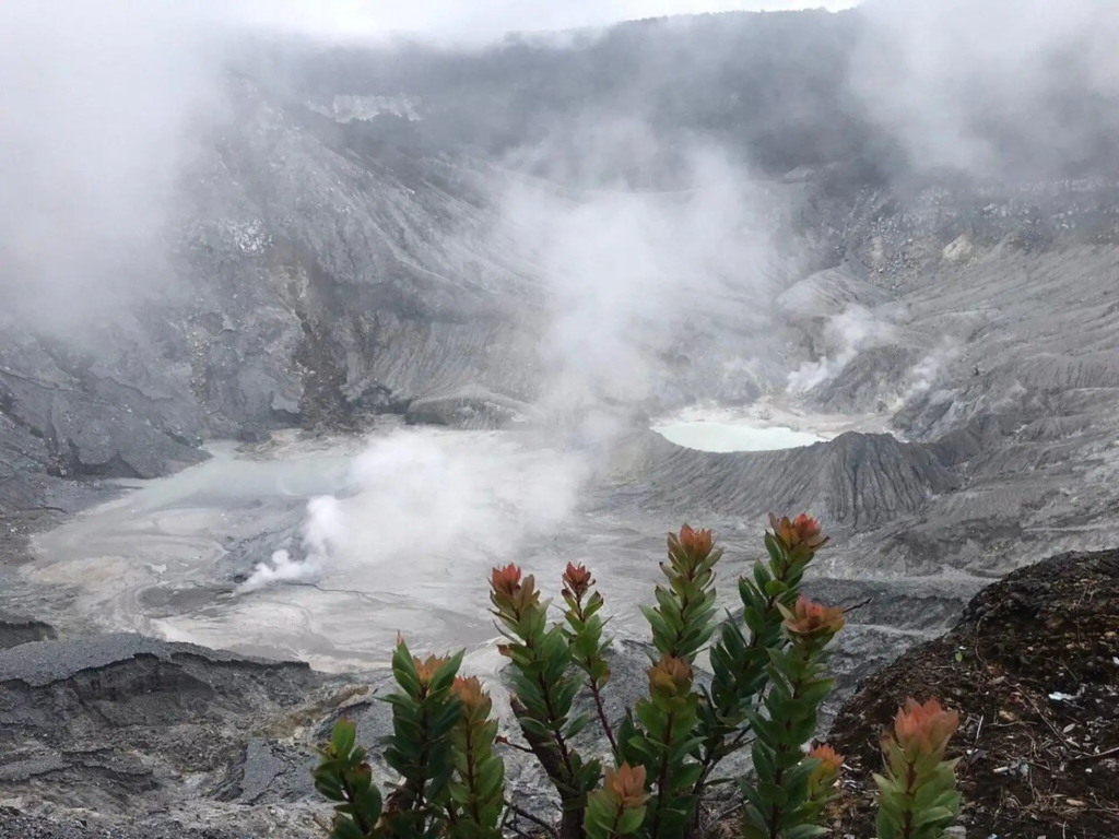 Bird-eye view of the Tangkuban Perahu Volcano, near Jakarta.