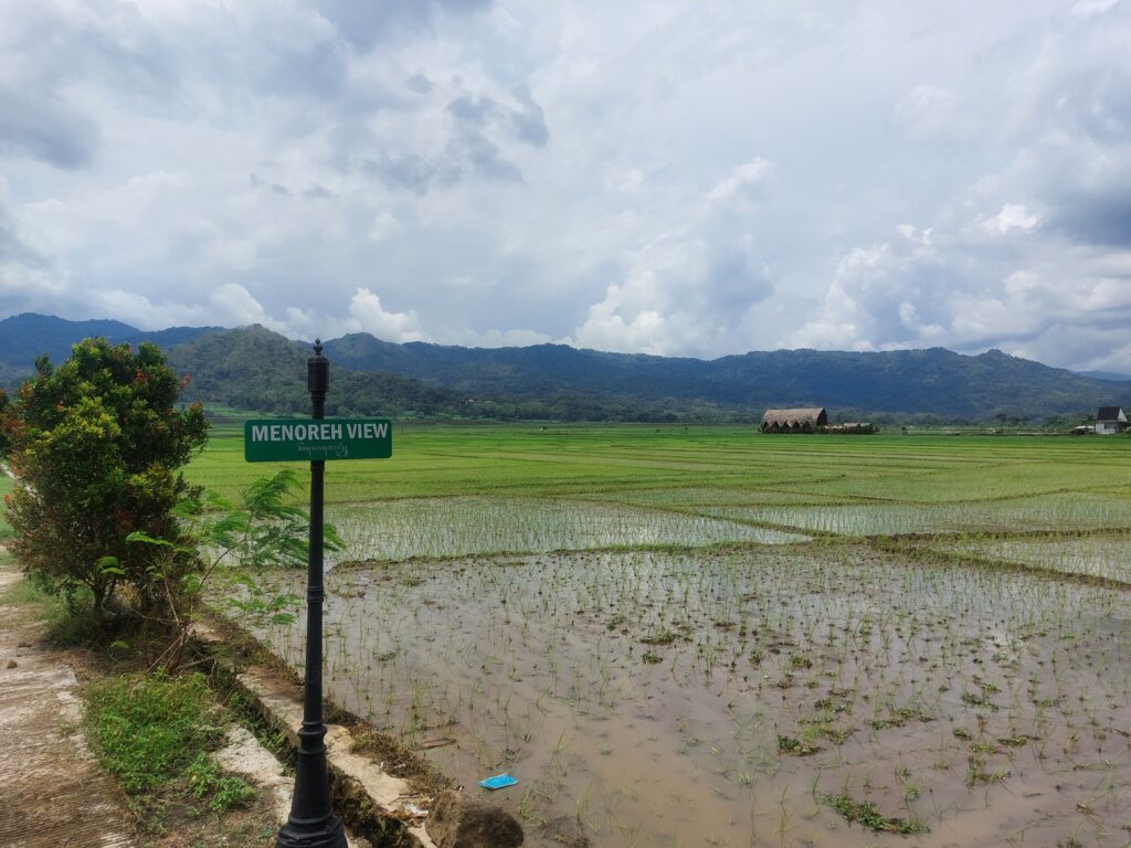 Overview Menoreh Ricefields near Yogyakarta, Java