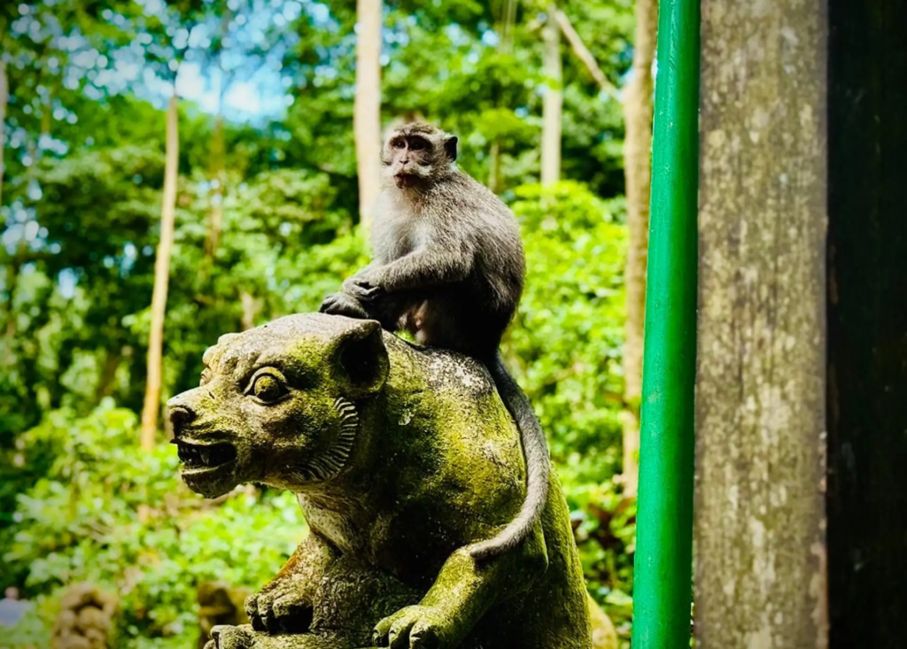 Visit to the Sacred Monkey Forest in Ubud.